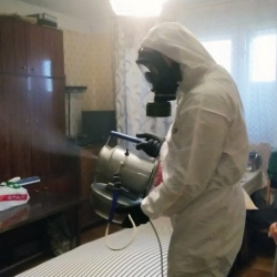 Дезинфекция от клопов в Чите