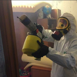 Уничтожение клопов в квартире. Чита